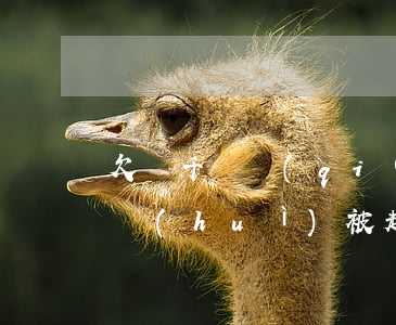 欠兩千塊錢(qián)網(wǎng)貸會(huì)被起訴么(欠網(wǎng)貸兩萬(wàn)塊錢(qián)起訴了會(huì)怎么樣)