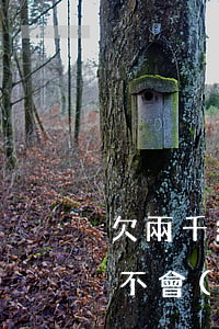 欠兩千網(wǎng)貸不還會(huì)不會(huì)被法院執(zhí)行-欠兩千網(wǎng)貸不還會(huì)不會(huì)被法院執(zhí)行呢