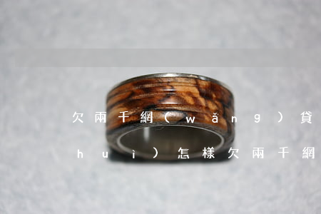 欠兩千網(wǎng)貸要走司法程序會(huì)怎樣(欠兩千網(wǎng)貸要走司法程序會(huì)怎樣)