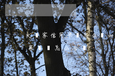 欠兩家信用卡還怎么辦(如果有兩張信用卡如果還錢怎么合適)