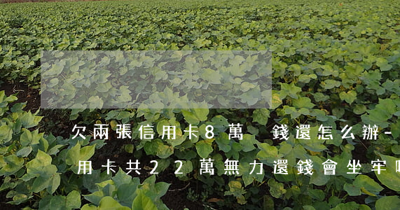 欠兩張信用卡8萬沒錢還怎么辦-欠8張信用卡共22萬無力還錢會坐牢嗎