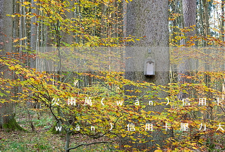 欠兩萬(wàn)信用卡壓力大嗎(欠兩萬(wàn)信用卡壓力大嗎)