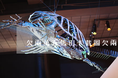 欠兩萬五信用卡截圖(欠兩萬五信用卡截圖)