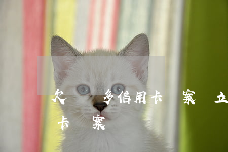 欠兩萬多信用卡報案會立案嗎（欠兩萬多信用卡報案）