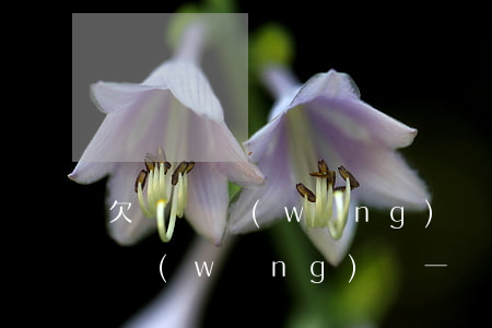 欠兩萬網(wǎng)貸怎么給父母說(欠了網(wǎng)貸一萬多怎么跟父母說)