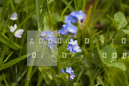 欠兩萬網(wǎng)貸會進家里嗎(欠兩萬網(wǎng)貸會進家里嗎)