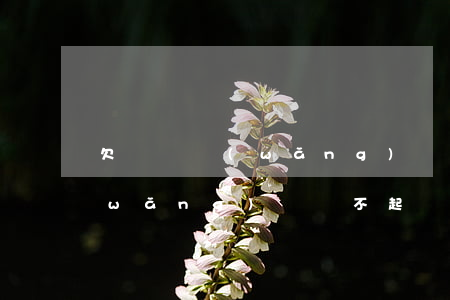 欠兩萬網(wǎng)貸還不起(欠兩萬網(wǎng)貸還不起)