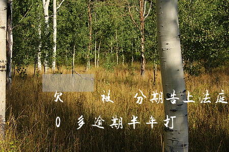 欠兩萬被來分期告上法庭(來分期欠了3000多逾期半年打電話來說上法院)