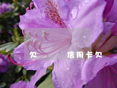 欠兩萬還信用卡 欠兩萬信用卡人生就完了嗎?