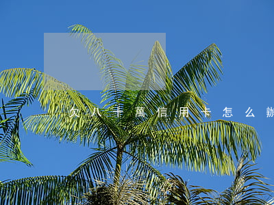 欠八十萬信用卡怎么辦