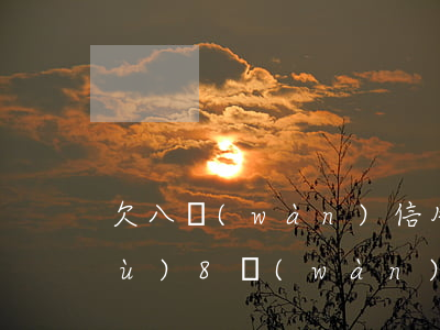 欠八萬(wàn)信用卡（欠信用卡數(shù)8萬(wàn)）
