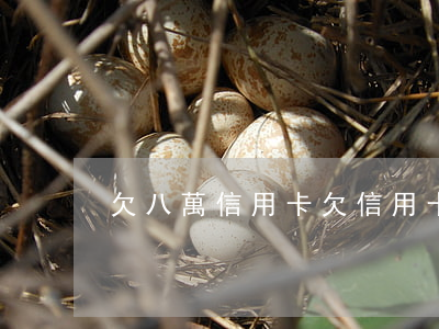 欠八萬信用卡（欠信用卡數(shù)8萬）