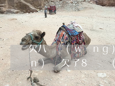 欠八萬網(wǎng)貸自己能承擔(dān)嗎(欠了8萬網(wǎng)貸怎么辦)