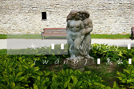 欠八萬網(wǎng)貸自救方案(欠8萬網(wǎng)貸怎么辦)