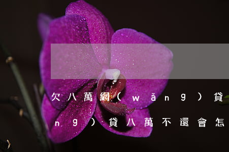 欠八萬網(wǎng)貸還能活嗎(網(wǎng)貸八萬不還會怎樣)