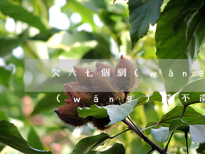 欠六七個網(wǎng)貸還不上(七八個網(wǎng)貸不還會怎么樣)