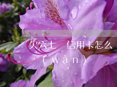 欠六七張信用卡怎么還(6張信用卡欠了23萬(wàn))