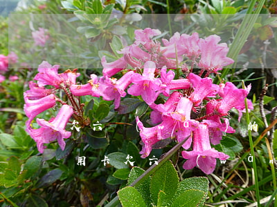 欠六萬(wàn)的網(wǎng)貸和信用卡(欠六萬(wàn)的網(wǎng)貸和信用卡)