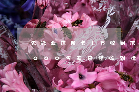 欠兴业信用卡1万收到信件(欠兴业信用卡5000今天已经收到律师电话)