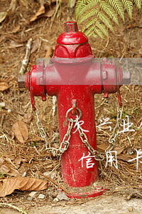 欠兴业银行信用卡5万被起诉如何协商（兴业信用卡逾期了可以协商吗）