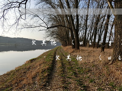 欠其他網(wǎng)貸支付寶會幫忙扣款嗎-欠其他網(wǎng)貸支付寶會幫忙扣款嗎安全嗎