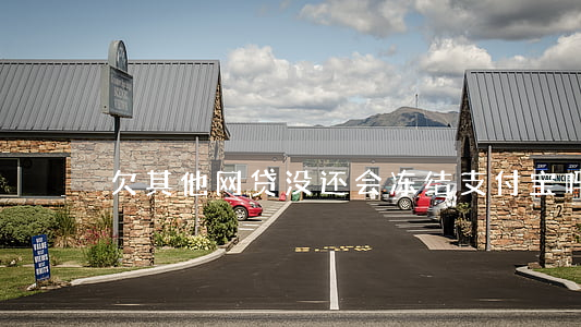 欠其他网贷没还会冻结支付宝吗-