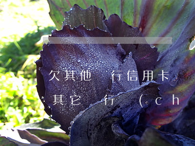 欠其他銀行信用卡凍結(jié)(欠信用卡其它銀行儲(chǔ)蓄卡也給我凍結(jié)了怎么回事)