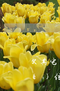 欠其它平臺(tái)的逾期了凍結(jié)信用卡-平臺(tái)貸款逾期會(huì)凍結(jié)信用卡嗎