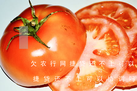 欠农行网捷贷还不上可以协调吗-欠农行网捷贷还不上可以协调吗怎么办