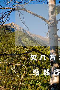 欠几万块网贷还不起怎么处理(欠几万块网贷没钱还该怎么办)