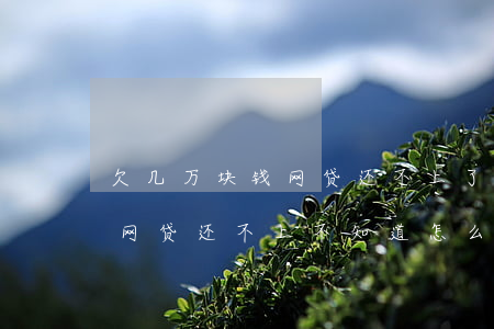 欠几万块钱网贷还不上了怎么办-欠了几万网贷还不上不知道怎么办