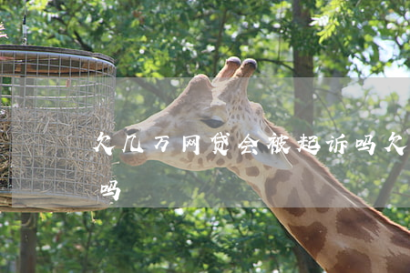 欠几万网贷会被起诉吗(欠几百网贷会被起诉吗)