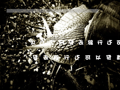 欠几个网贷去银行还可以贷款吗-欠几个网贷去银行还可以贷款吗知乎