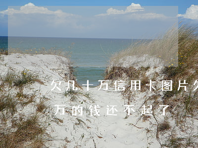 欠几十万信用卡图片 欠了十几张信用卡几十万的钱还不起了