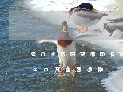 欠几十万网贷信用卡逾期了(欠信用卡和网贷40万全面逾期)