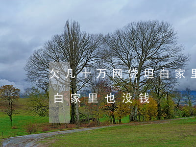 欠几十万网贷坦白家里也没钱(欠网贷五万坦白家里也没钱)