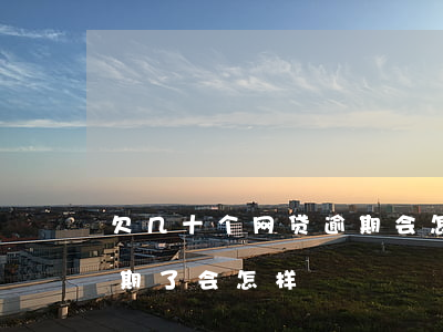 欠几十个网贷逾期会怎么样(欠十个网贷都逾期了,会怎样)