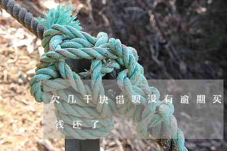 欠几千块借呗没有逾期买房(借呗逾期实在没钱还了)