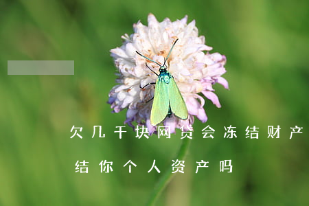欠几千块网贷会冻结财产吗(欠几千网贷会冻结你个人资产吗)