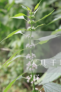 欠几千块钱网贷(欠几千块钱网贷不还会怎么样)