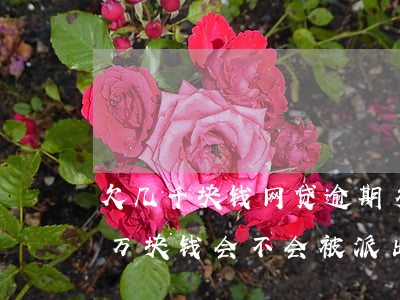 欠几千块钱网贷逾期多久会立案(网贷逾期几万块钱会不会被派出所抓)