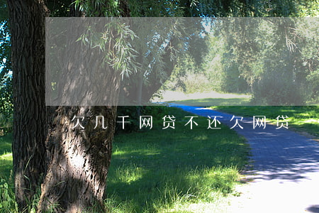 欠几千网贷不还(欠网贷一千多不还会怎样)