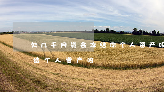 欠几千网贷会冻结你个人资产吗(网贷可以冻结个人资产吗)