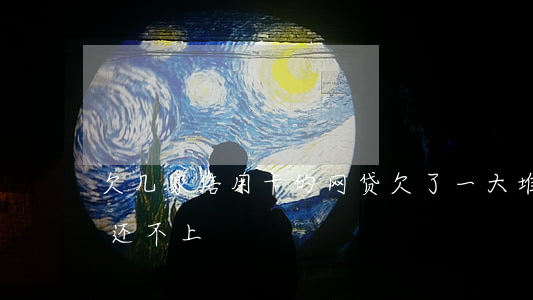 欠几家信用卡的网贷(欠了一大堆网贷信用卡还不上)