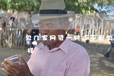 欠几家网贷一时还不起(欠了几家网贷不还怎样)