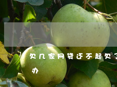欠几家网贷还不起(欠了多家网贷还不上怎么办)