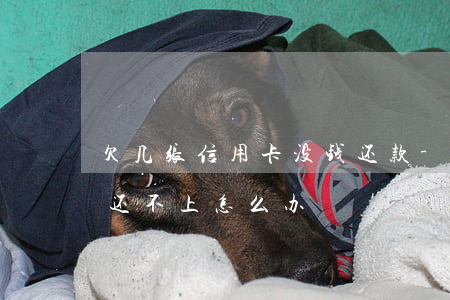 欠几张信用卡没钱还款-欠了好几个信用卡,还不上,怎么办