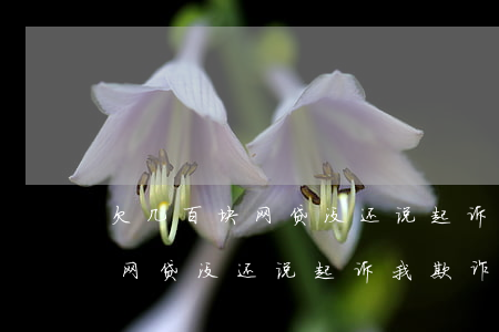 欠几百块网贷没还说起诉我欺诈-欠几百块网贷没还说起诉我欺诈是真的吗
