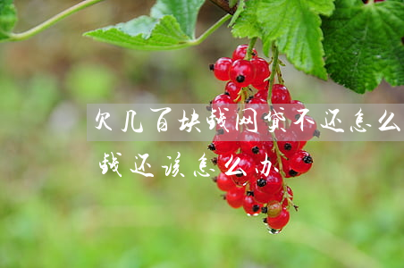 欠几百块钱网贷不还怎么办(欠几万块网贷没钱还该怎么办)