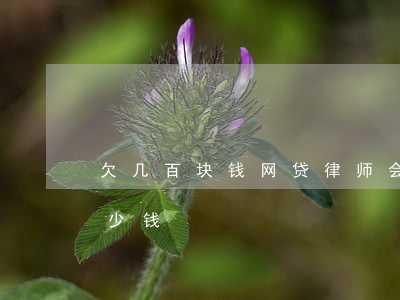 欠几百块钱网贷律师会管吗(欠网贷请律师多少钱)